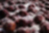 S__60637263.jpg