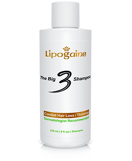 lipogaine shampoo | ליפוגיין שמפו
