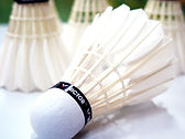 Shuttlecock