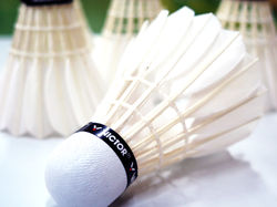 Shuttlecock
