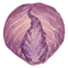 Purple Cabbage