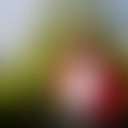 2025 Farm Season Recap 