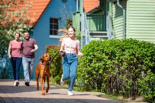 Urlaub auf vier Pfoten: Five E Group setzt auf hundefreundliche Urlaubserlebnisse