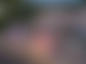 Eventhighlights 2026 im MAREMÜRITZ Yachthafen Resort