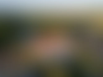 Genuss, Kultur und Sommerabende: Das Eventprogramm im SCHLOSS Fleesensee Frühling bis Sommer