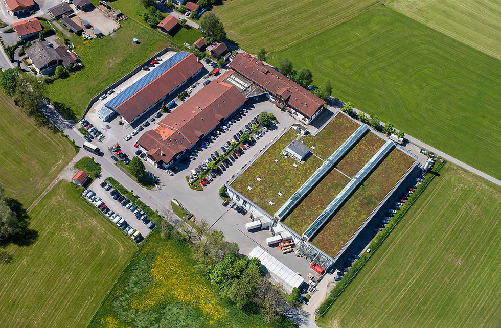 GOLDENES JUBILÄUM: CONVOTHERM FEIERT 50 JAHRE KULINARISCHE PRÄZISION