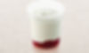 DESSERT YAOURT DELISS BIO