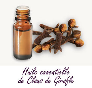 FT-Plante_HE-Clous-Girofle.jpg