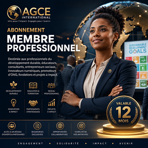 Abonnement Professionnelle.png