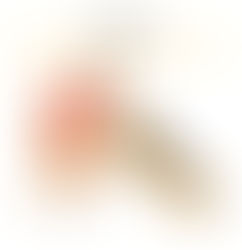 Сказ: профілактика після укусу