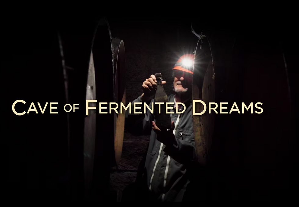 Cave of Fermented Dreams