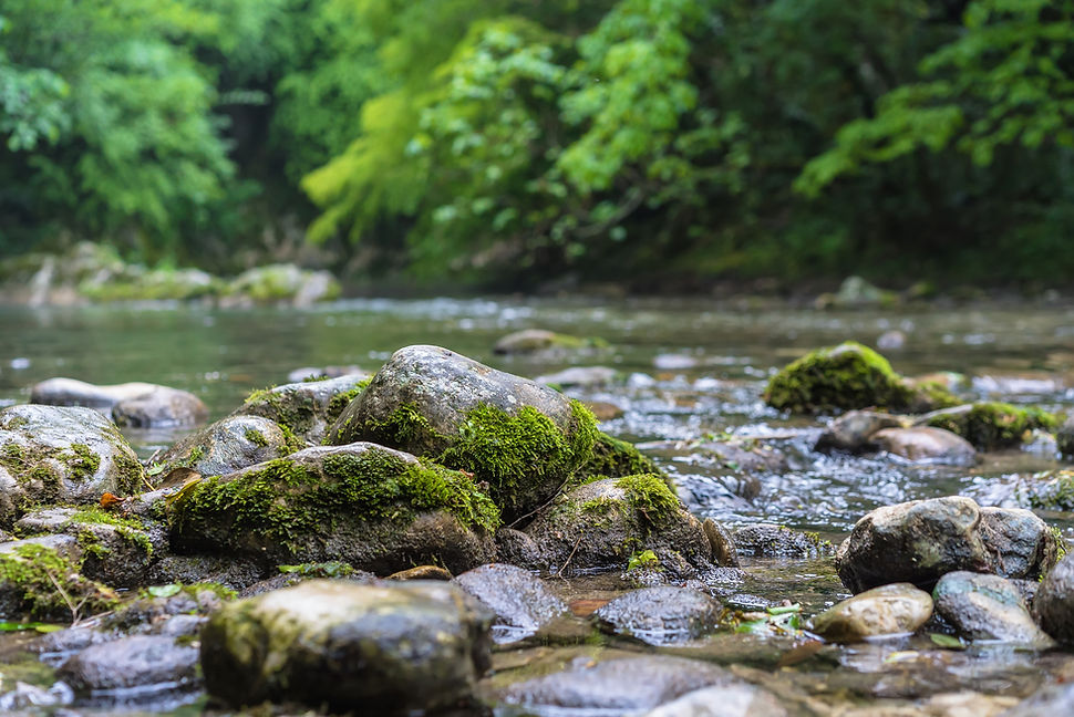 río
