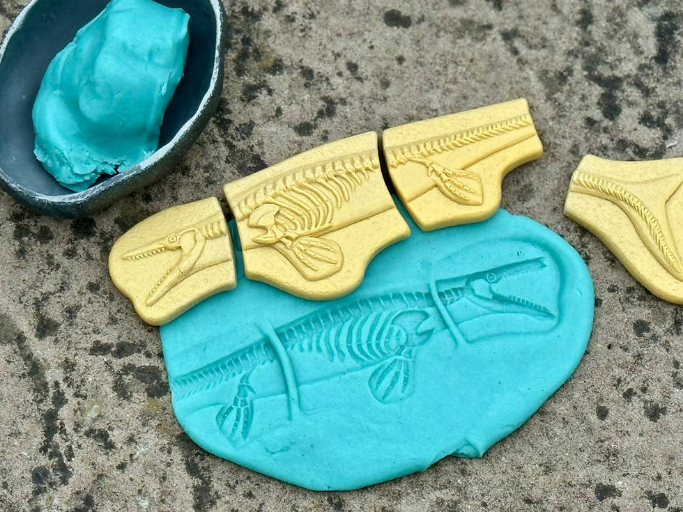 Thumbnail: Dig + Discover - Pliosaur + Stegosaurus