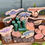 Thumbnail: Exploring Dinosaurs Collection - 22 pieces