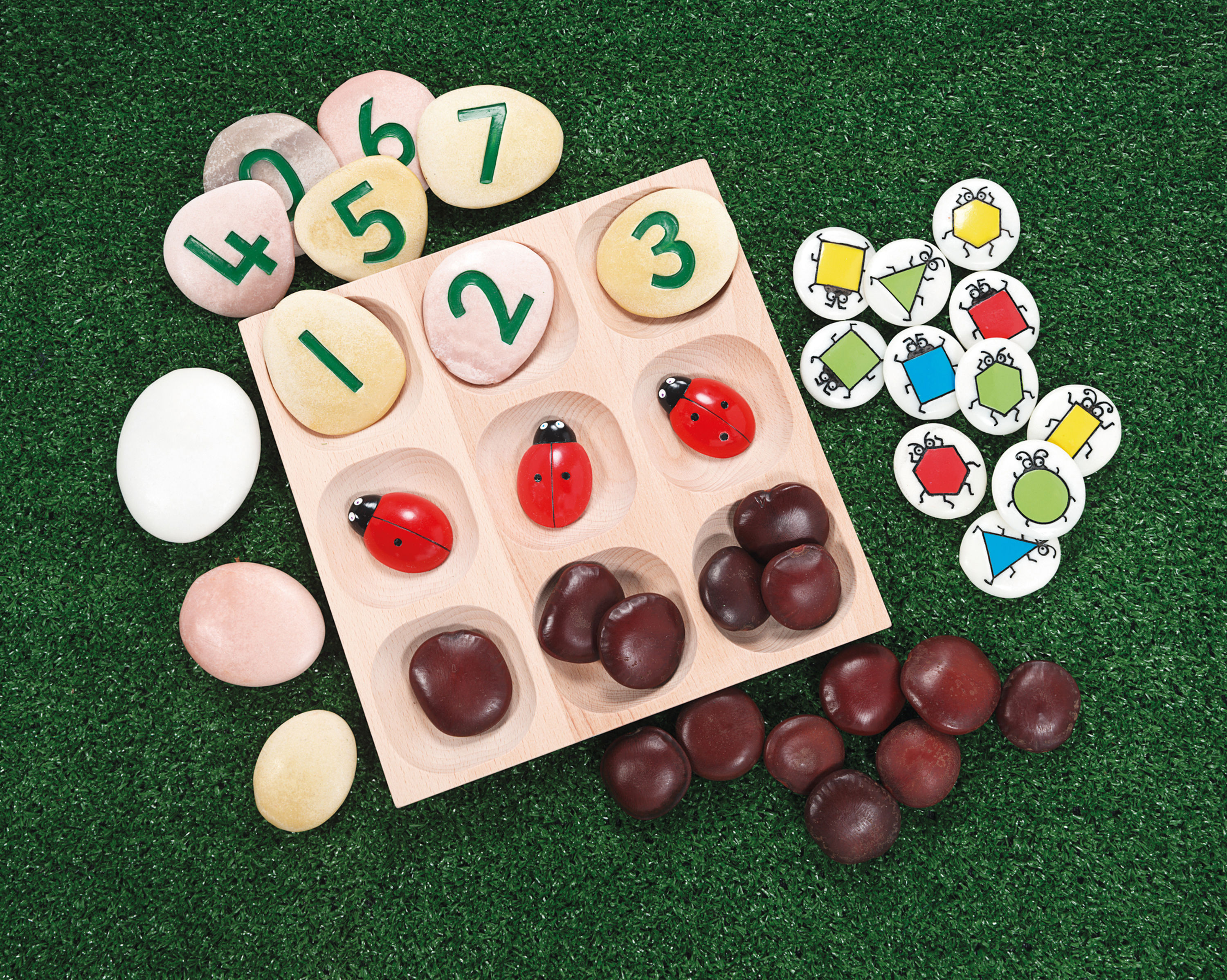 Natural Sorting Tray