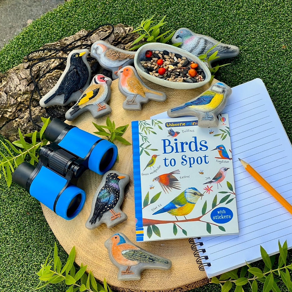 Thumbnail: Sensory Play Stones - Birds