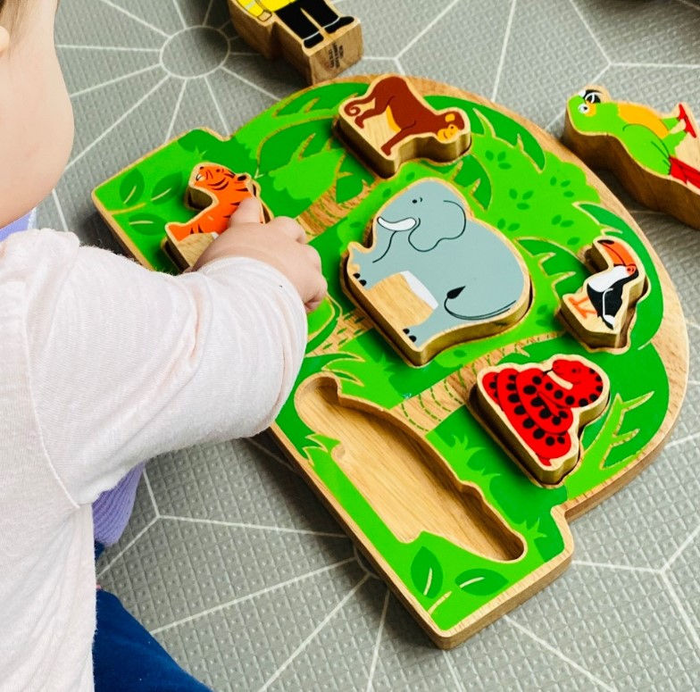 Wooden Jungle Shape Sorter
