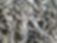 IMG_4461 - Copy.JPG