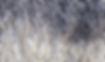 20231115_091310_edited.jpg