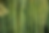 AD3571D5-D75D-4004-B6B4-5B79C7516306.png