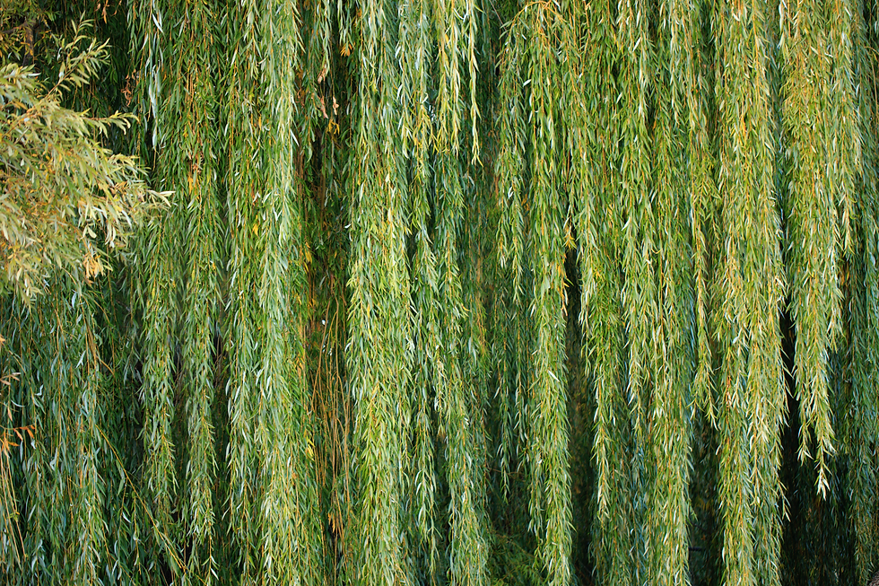 AD3571D5-D75D-4004-B6B4-5B79C7516306.png