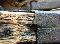 Chris Wright Art, Macro