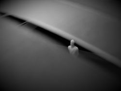 2IMG_5113