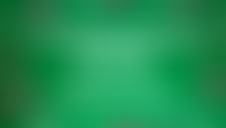 Mount Vernon Christmas Parade Details