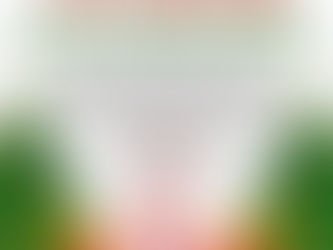 Secret Santa Donations for St. Vincent de Paul School