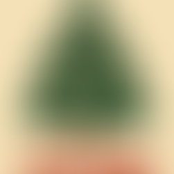 🎄🎄Christmas Giving Trees🎄🎄