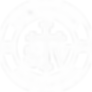 STV Logo NEW 2025 White.png