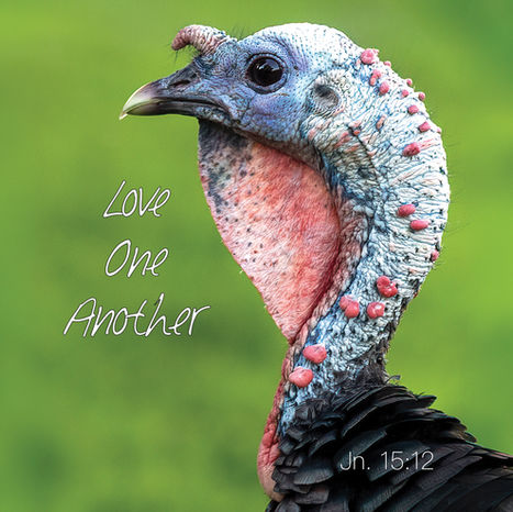 Love One Another