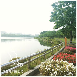 하나님 주신 좋은 아침!! #nikeplus