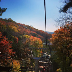 가을색이 너무 좋아요!! ^^