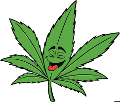 The Plant