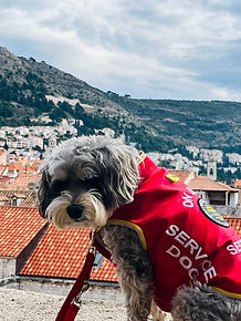 Lucy in Croatia