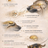 Scent discrimination