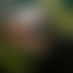 Por que Investir em Vallée Vacation Club é um bom negócio?