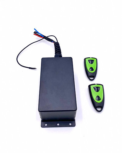 Elektronische Wegfahrsperre WFS 12