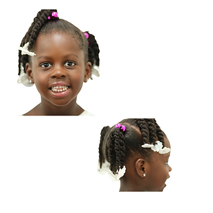 Copy of Beginner (10).png