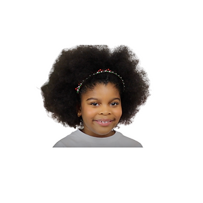 Copy of Beginner (3).png