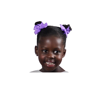 Copy of Beginner (7).png