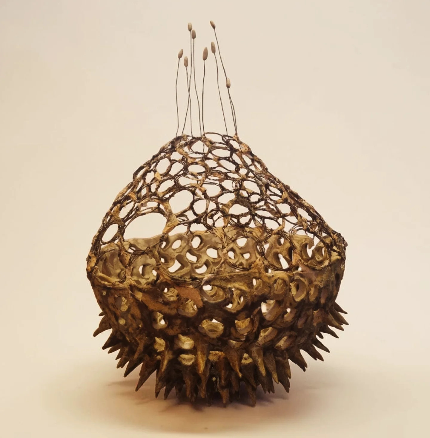 Giant Spiky Pod