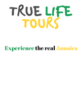 True Life Tours transparent Background.p