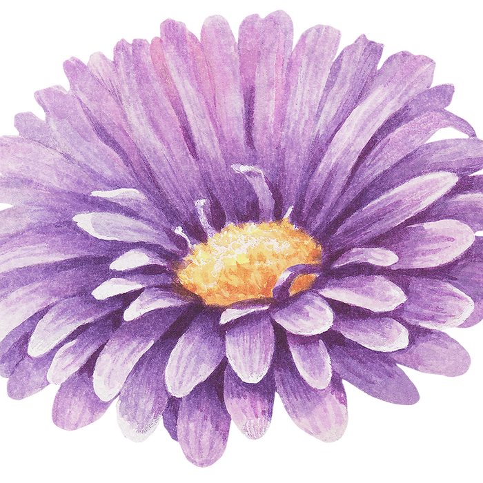 Purple Flower