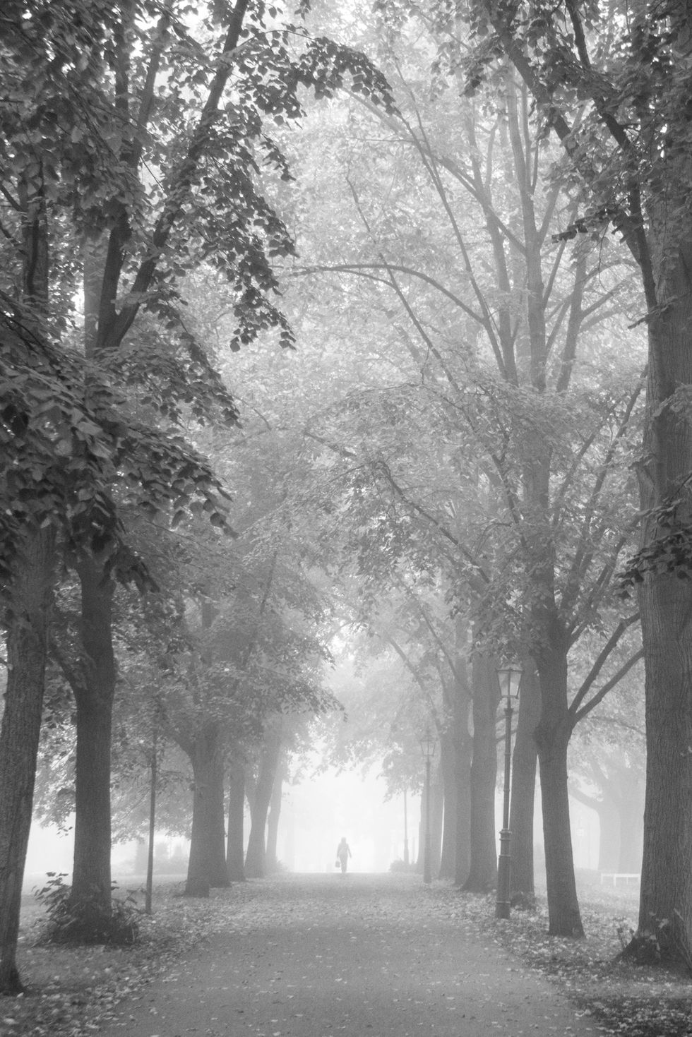 Nebel_Karaschewski_02