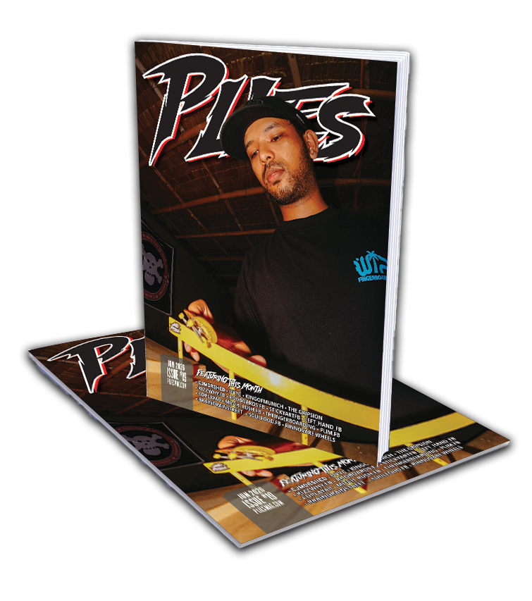 #19-PLIES-cat-standing-magazine-mockup.png