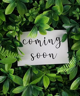 coming soon 3.png