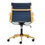 Thumbnail: CAROCC MidBack  Chair Gold & Blue