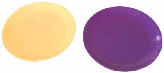 Dinner plates